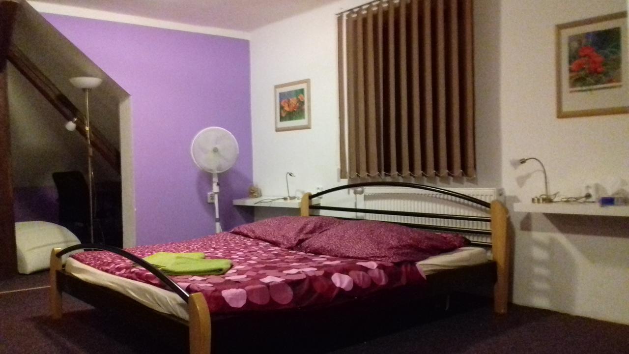 Penzion Vulture Havirov Guest house Havirov