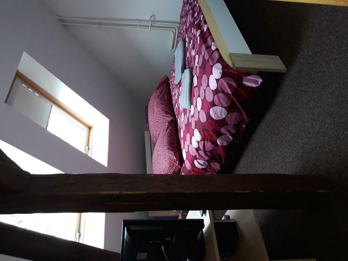 Penzion Vulture Havirov Guest house Havirov